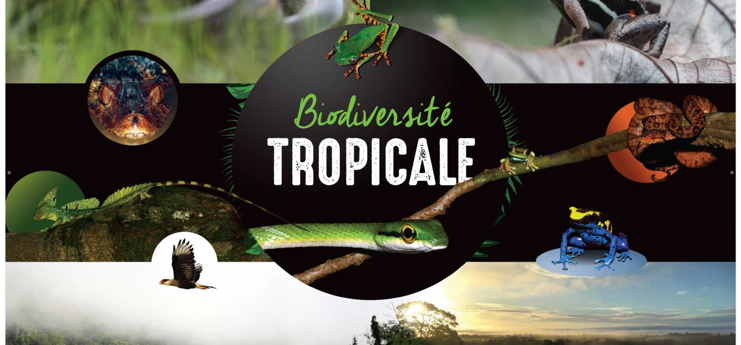 Exposition en plein air "VREB Biodiversité" financée par la commune d'Airvault (79)