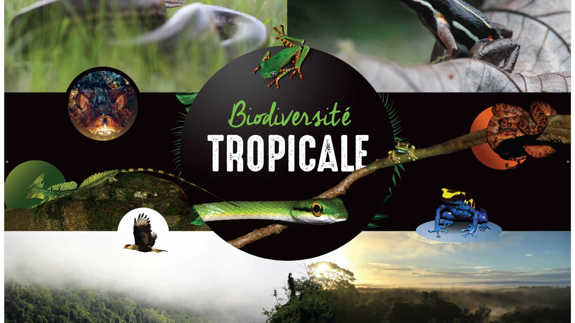 Exposition en plein air "VREB Biodiversité" financée par la commune d'Airvault (79)